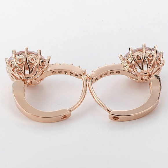 Rose Gold & AAA Cubic Zirconia Leverback Earrings - Picture 3 of 5